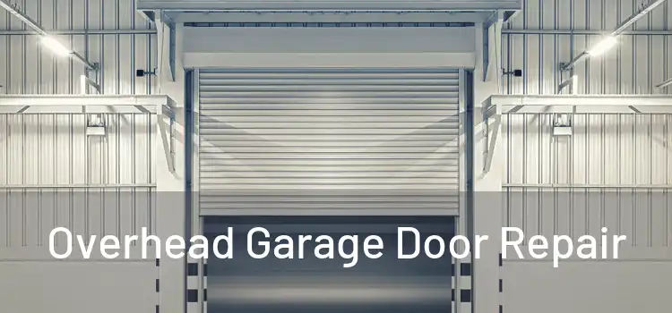  Overhead Garage Door Repair 